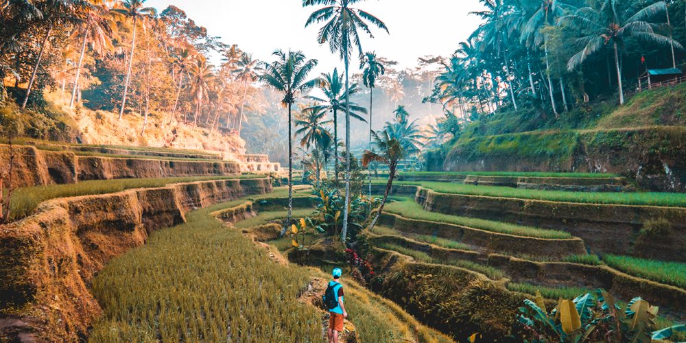 bali1